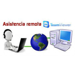 Asistencia Técnica Remota...