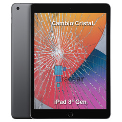 Cambio cristal iPad 8 Negro