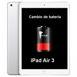 Cambio batería iPad Air 3 -...
