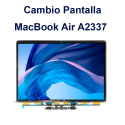 A2337 - Cambio panel LCD...