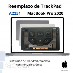 Reemplazo TrackPad MacBook...