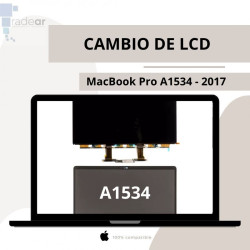 Cambio Panel LCD MacBook...