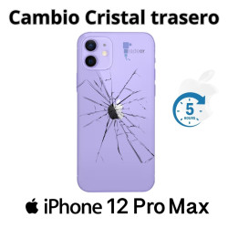 Cambio cristal trasero iPhone 12 Pro Max