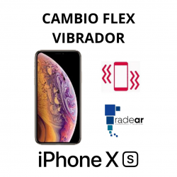 Cambio flex vibrador iPhone XS