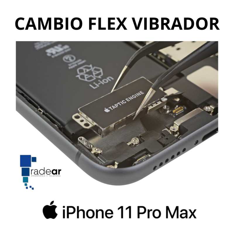 Cambio flex vibrador iPhone 11 Pro Max