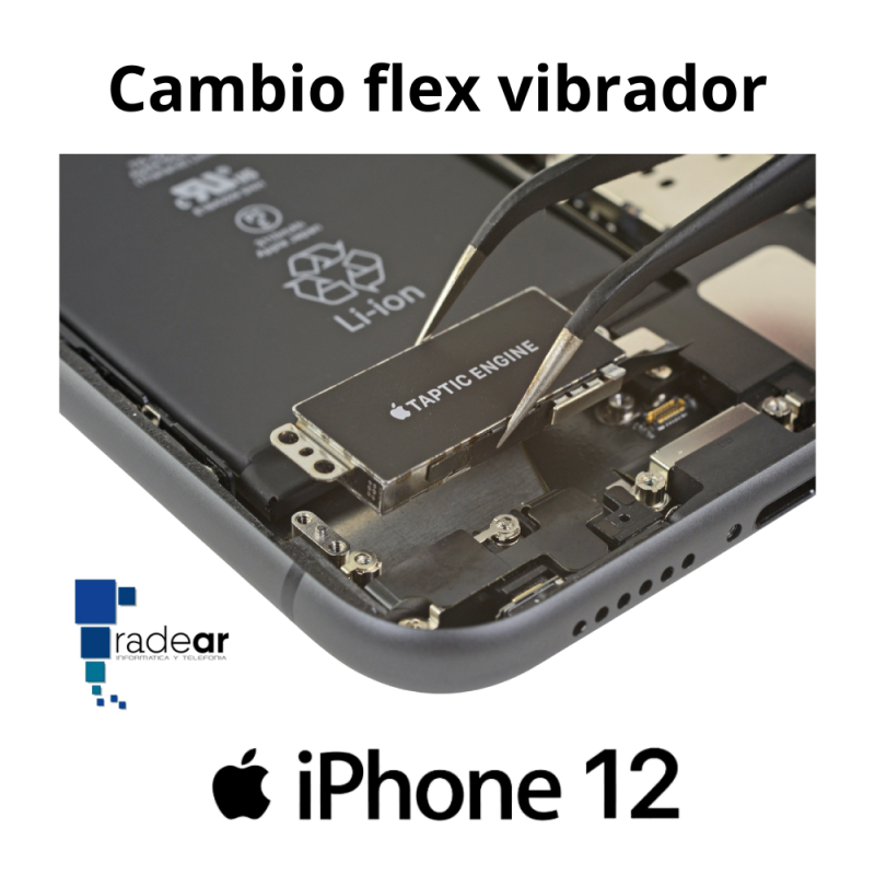 Cambio flex vibrador iPhone 12