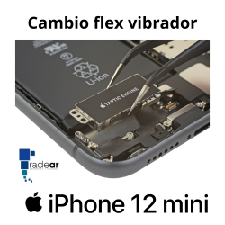 Cambio flex vibrador iPhone 12 mini