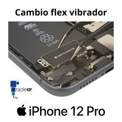 Cambio flex vibrador iPhone 12 Pro
