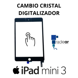 Cambio Cristal Digitalizador iPad mini 3