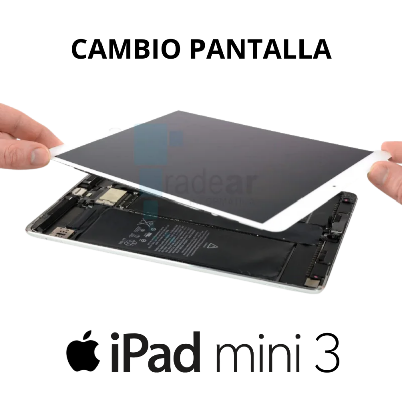 Cambio pantalla iPad Mini 3