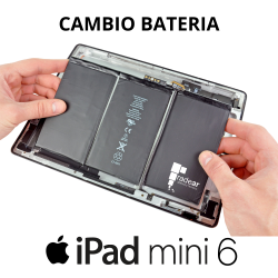 Cambio bateria iPad Mini 6