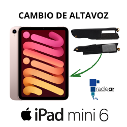 Cambio de altavoz iPad Mini 6