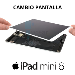Cambio pantalla iPad Mini 6