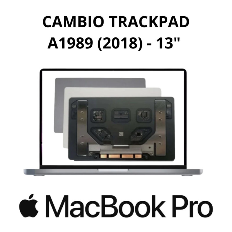 Cambio TrackPad MacBook Pro A1989 (2018) 13"
