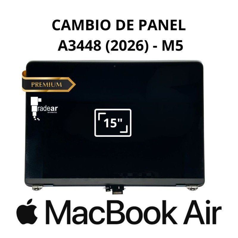 CAMBIO PANEL LCD A3448 (2026) - M5